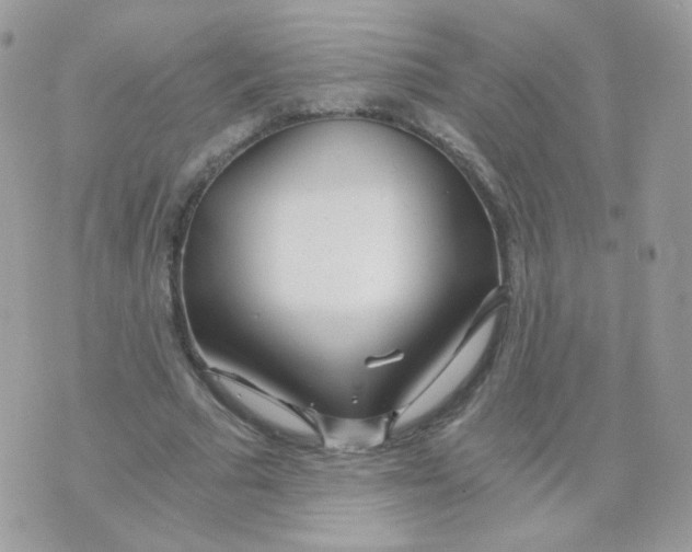 X0000071330681200607212008