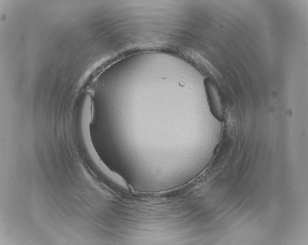 X0000071330684200607212007