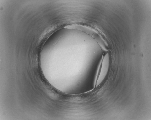 X0000071330685200607212007