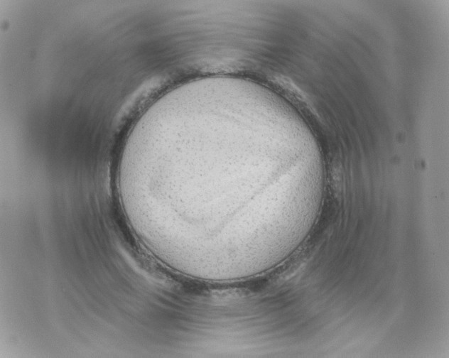 X0000071330686200607212007