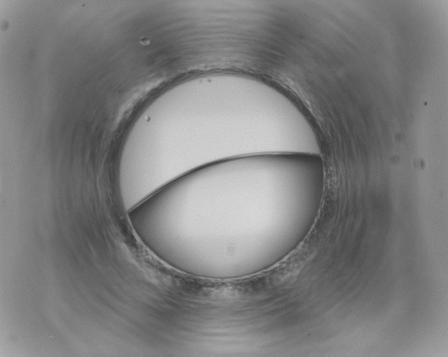 X0000071330688200607212007