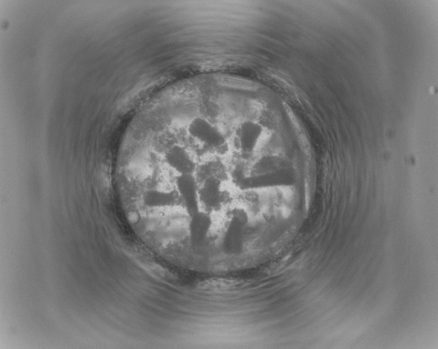 X0000071330691200607212007