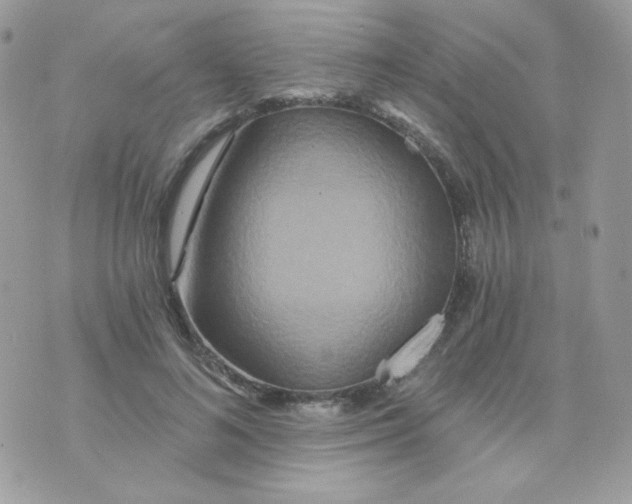 X0000071330692200607212007