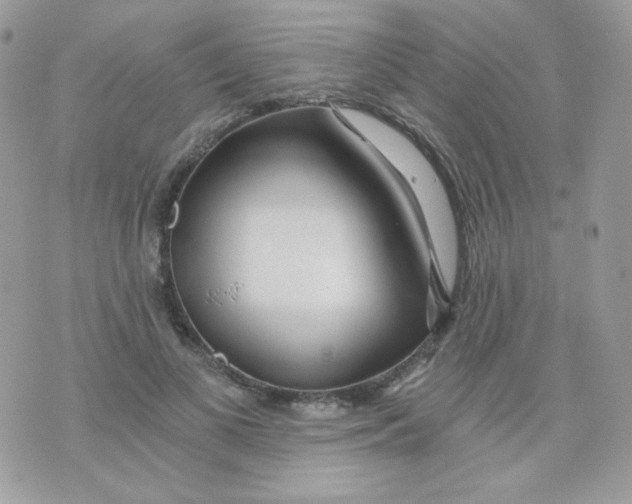 X0000071330693200607212007