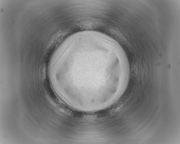 X0000071330694200607212007