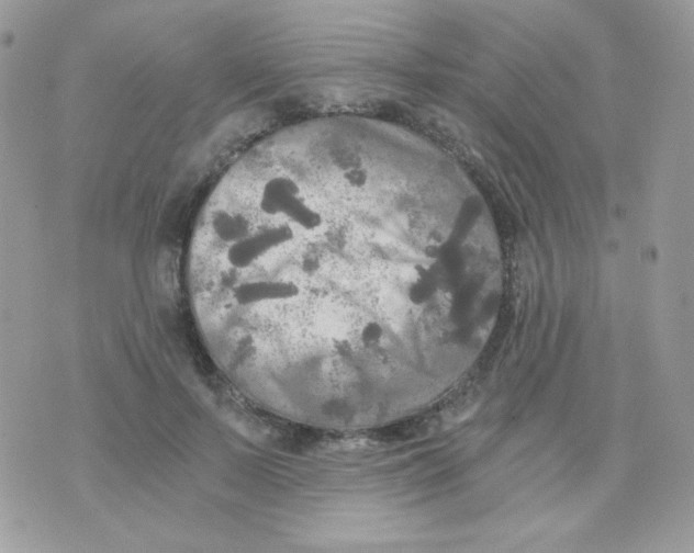 X0000071330695200607212007