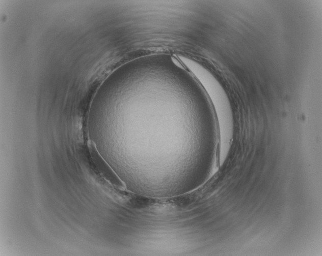 X0000071330696200607212007