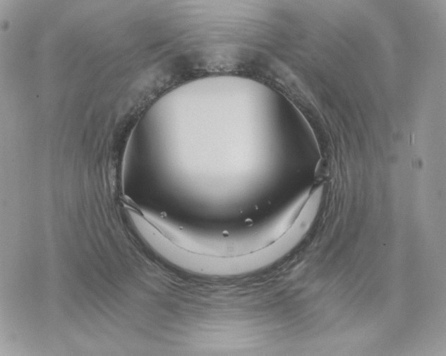 X0000071330697200607212007