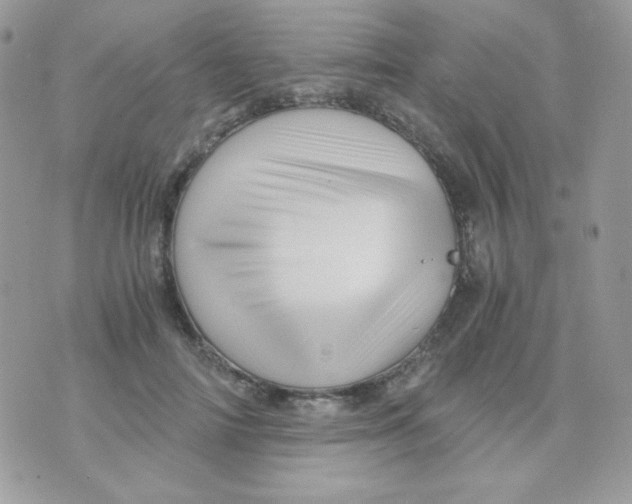 X0000071330698200607212007