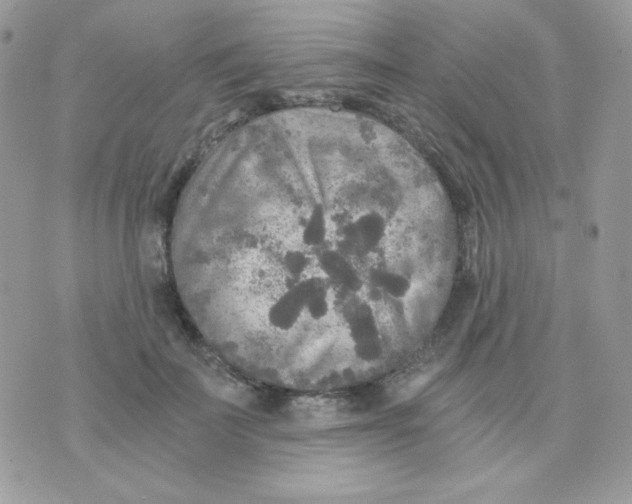 X0000071330699200607212007