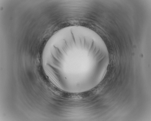 X0000071330702200607212007