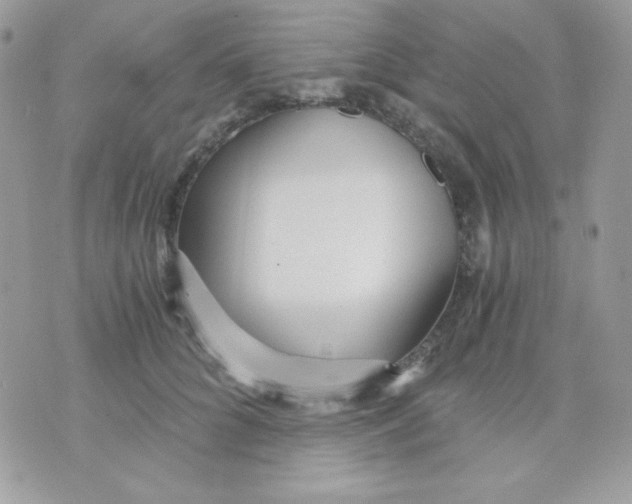 X0000071330704200607212007