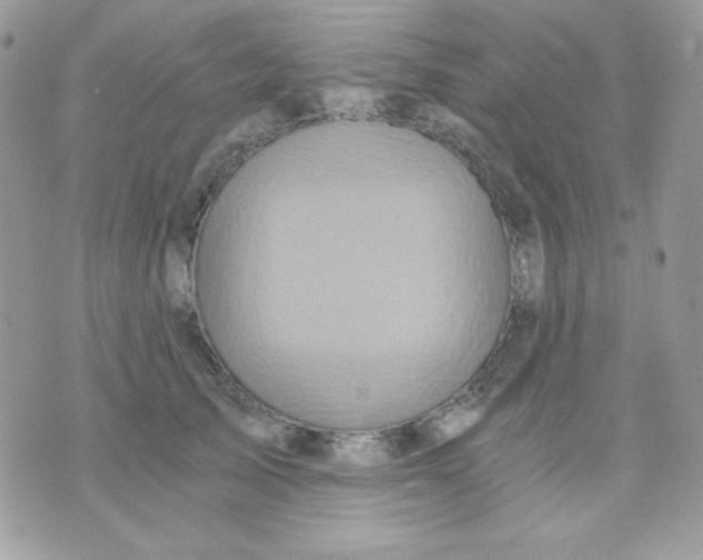 X0000071330705200607212007