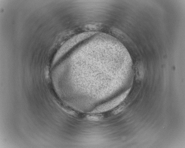 X0000071330706200607212007