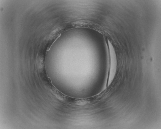 X0000071330708200607212007