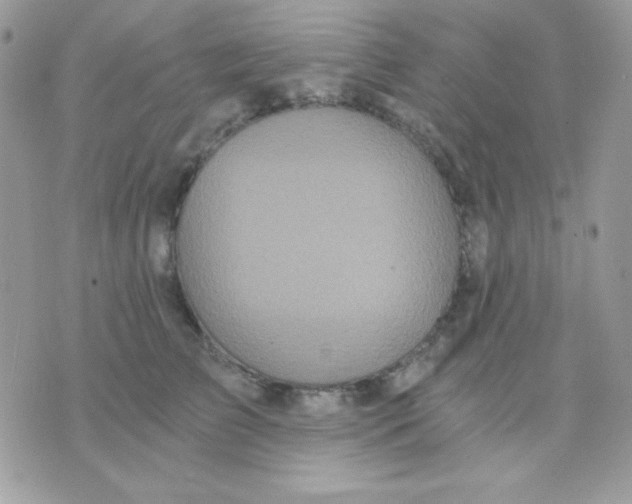 X0000071330709200607212007