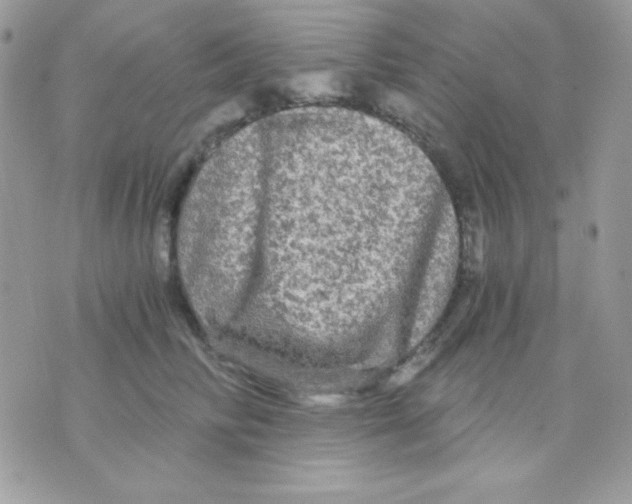 X0000071330710200607212007