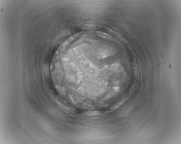 X0000071330711200607212007