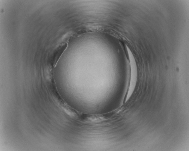 X0000071330712200607212007