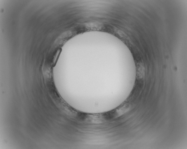 X0000071330713200607212007