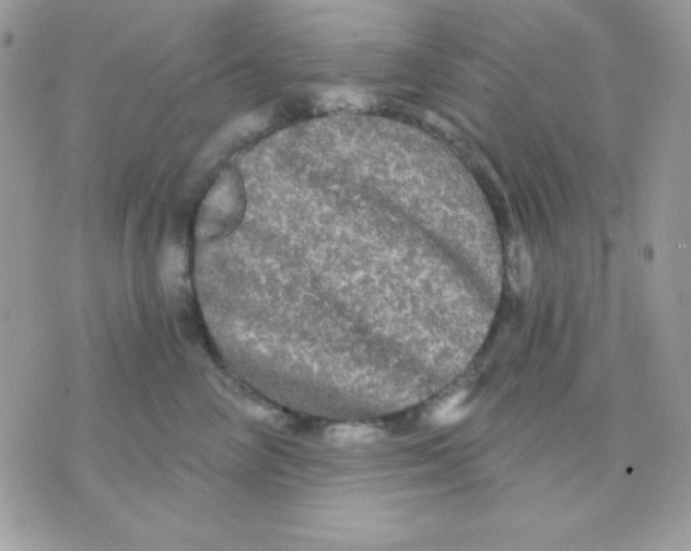 X0000071330714200607212007