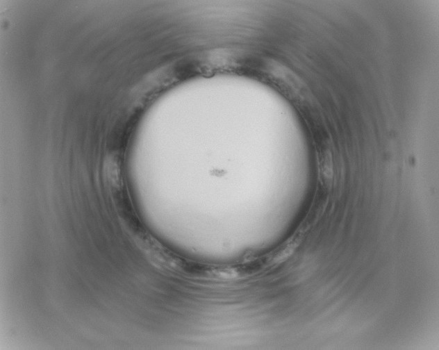 X0000071330715200607212007