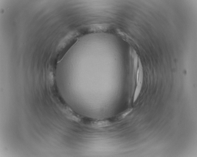 X0000071330716200607212007