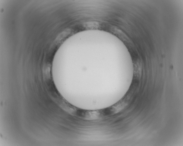 X0000071330717200607212007