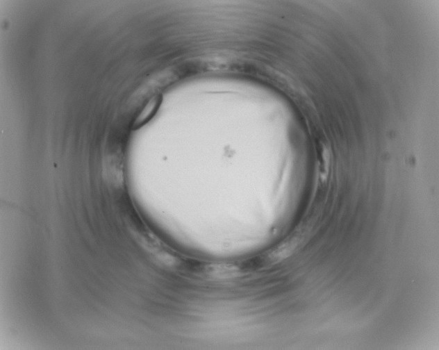 X0000071330719200607212007