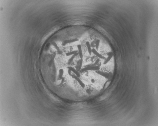 X0000071330721200607212006