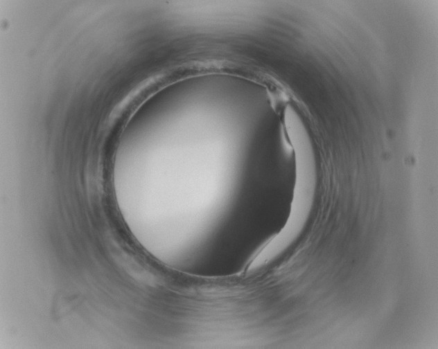 X0000071330722200607212006