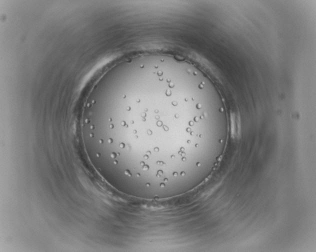 X0000071330723200607212006