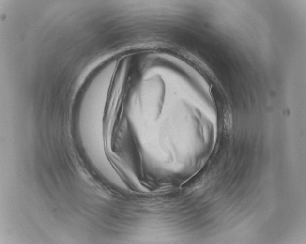 X0000071330724200607212006