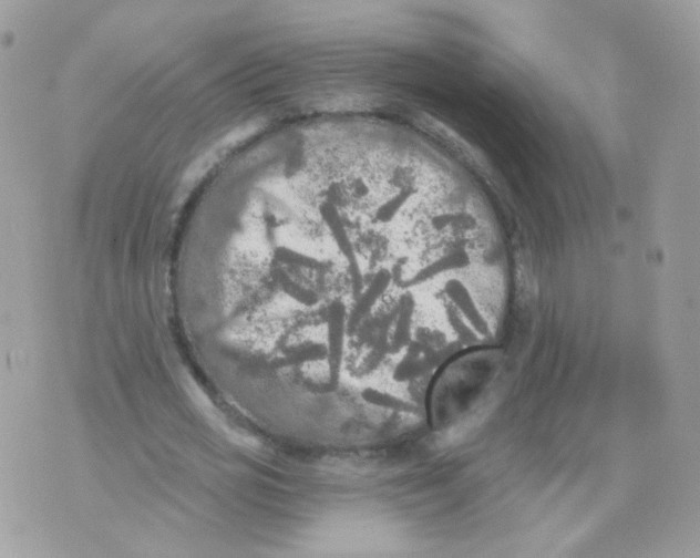 X0000071330725200607212006