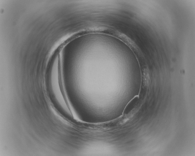 X0000071330726200607212006