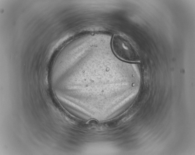 X0000071330727200607212006