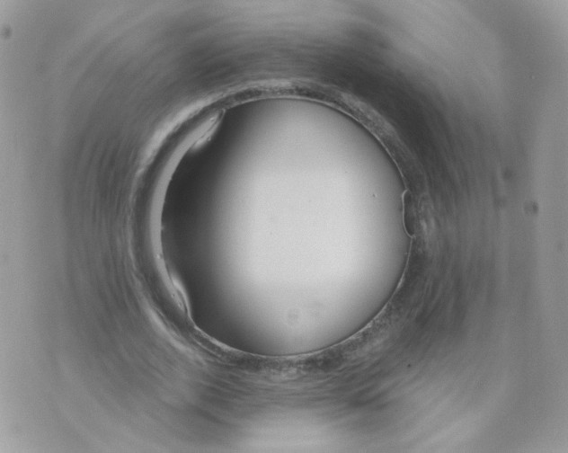 X0000071330728200607212006