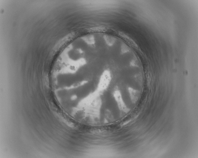 X0000071330729200607212006