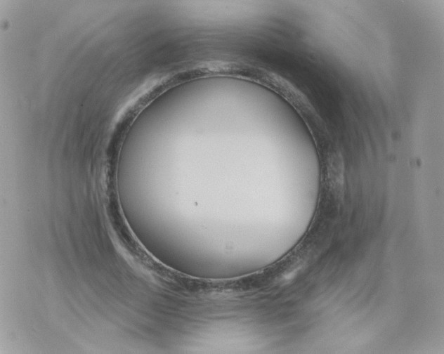 X0000071330730200607212006