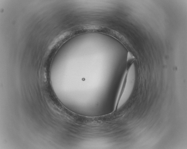 X0000071330731200607212006