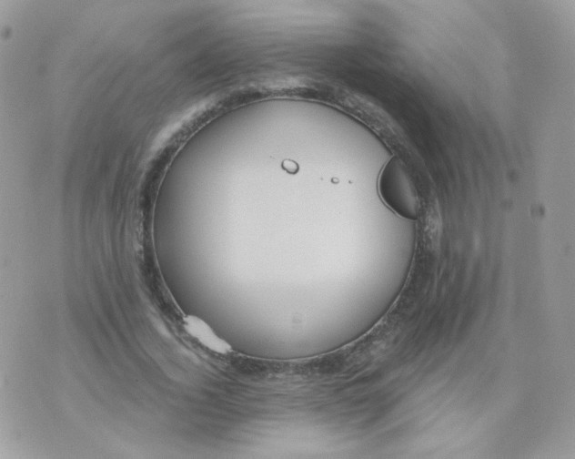 X0000071330732200607212006