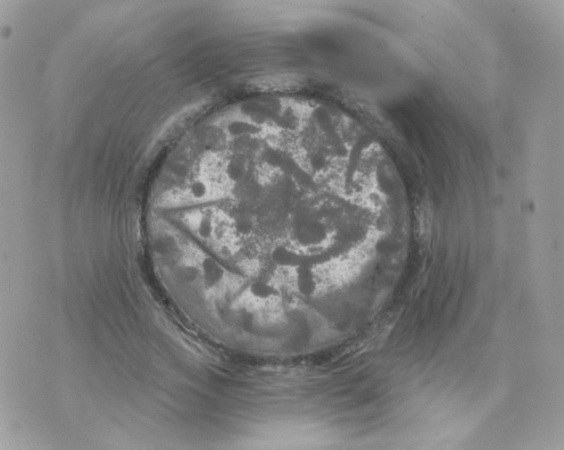 X0000071330733200607212006