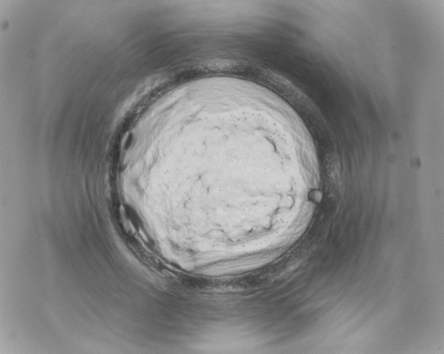 X0000071330734200607212006