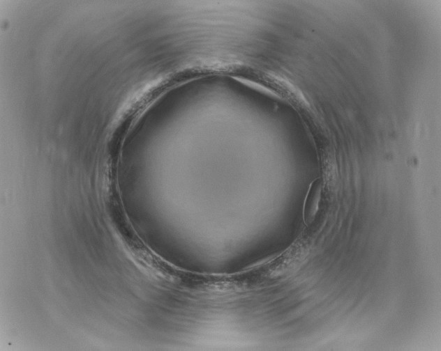 X0000071330736200607212006