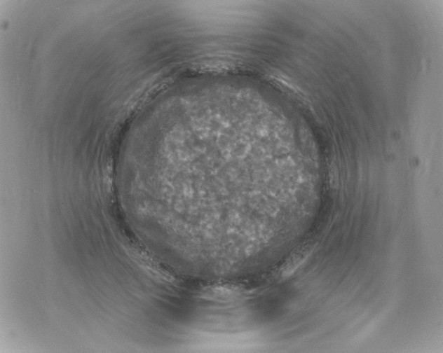 X0000071330737200607212006