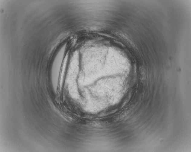 X0000071330738200607212006