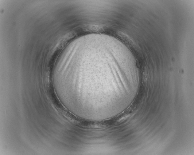 X0000071330739200607212006