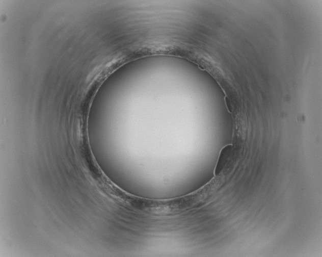 X0000071330740200607212006