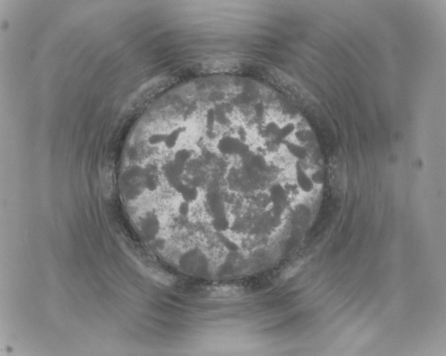 X0000071330741200607212006