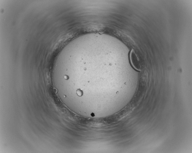 X0000071330743200607212006